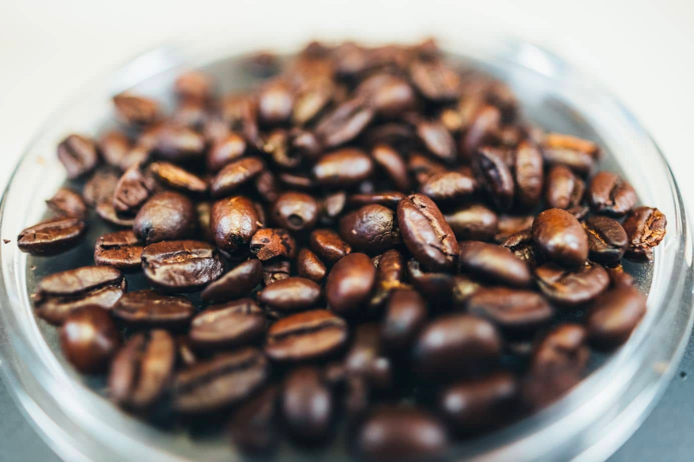 Upton Medium House Blend Coffee BEANS